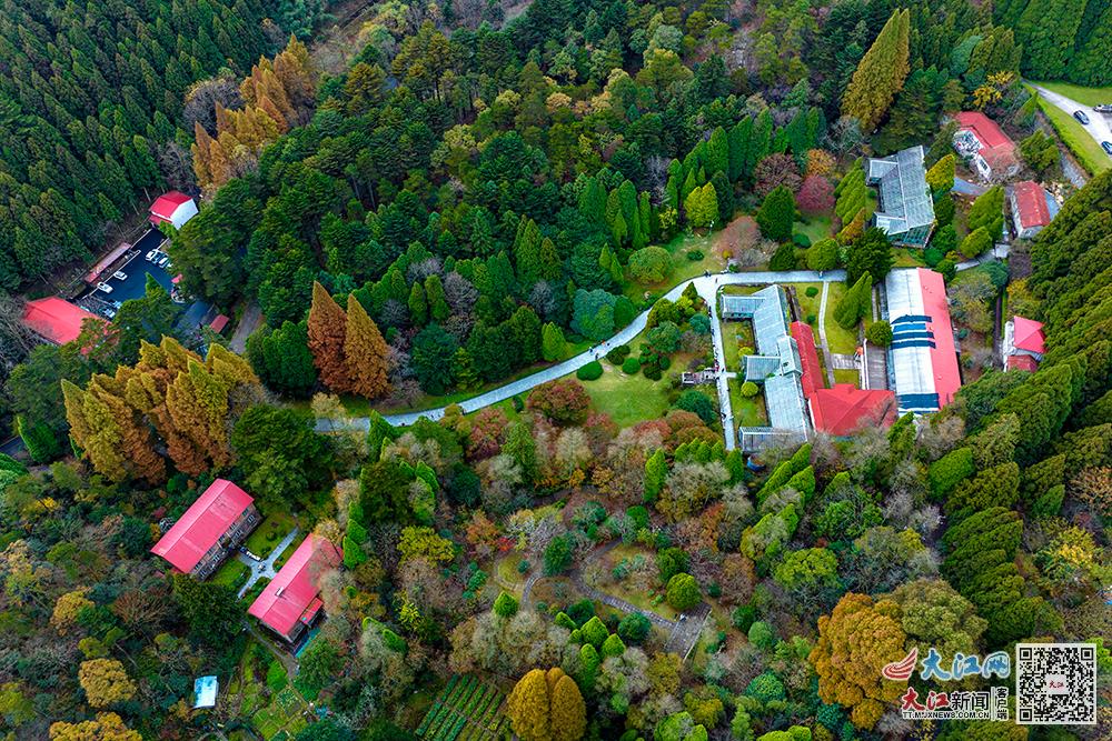 一代代植物學(xué)人扎根廬山 讓瀕危植物生生不息