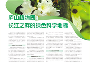 廬山植物園：長(zhǎng)江之畔的綠色科學(xué)地標(biāo)